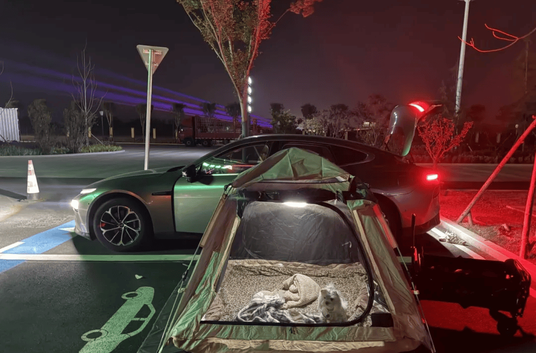 期间年轻人旅行掀起“帐篷过夜”热潮新葡京